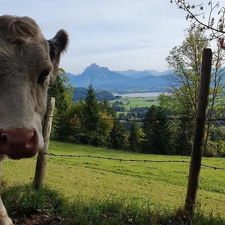 Alpenblick 6, Erholung Pur Im Allgäu Apartment
