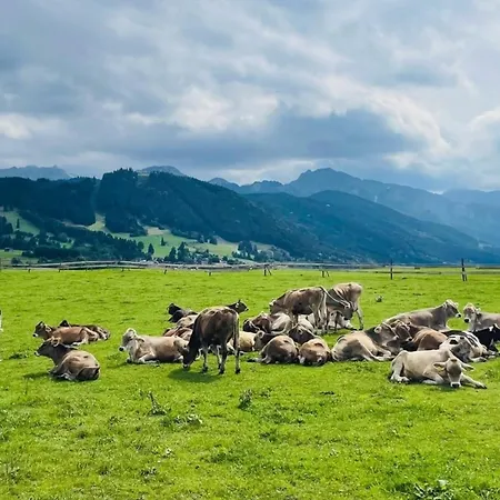 Alpenblick 6, Erholung Pur Im Allgäu * Halblech