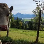 Alpenblick 6, Erholung Pur Im Allgaeu Lejlighed