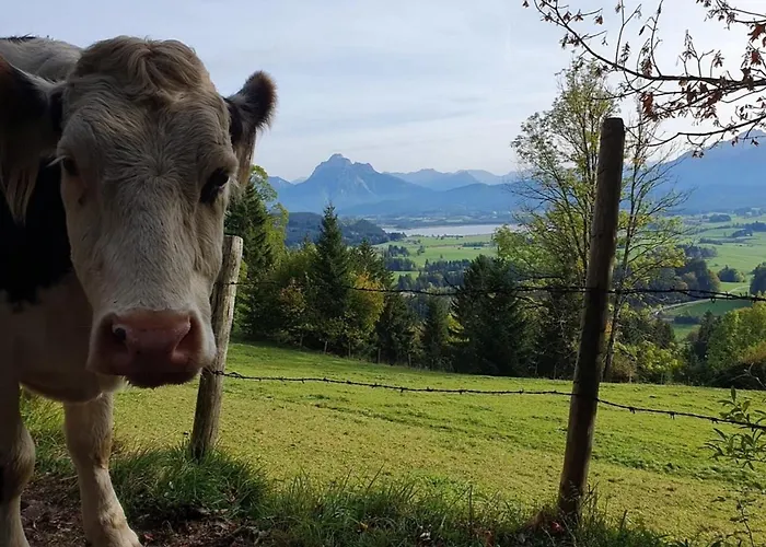 Alpenblick 6, Im Allgaeu, Bergblick Pur - Neueroeffnung! Appartement